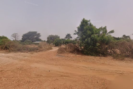 Terrain agricole de 50 000 m² (~5,0 ha) à Touba Peykouk (Fandène), Thiès