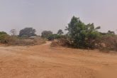 Terrain agricole de 50 000 m² (~5,0 ha) à Touba Peykouk (Fandène), Thiès