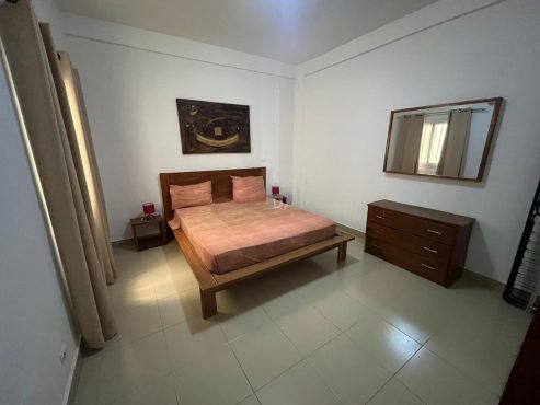 Appartement avec les Meubles Avendre
