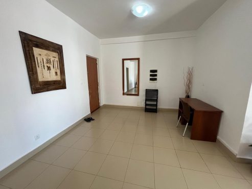 Appartement avec les Meubles Avendre