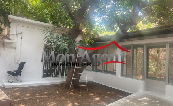 Maison de plain-pied à vendre — Plateau, Dakar (terrain individuel de 304 m²)
